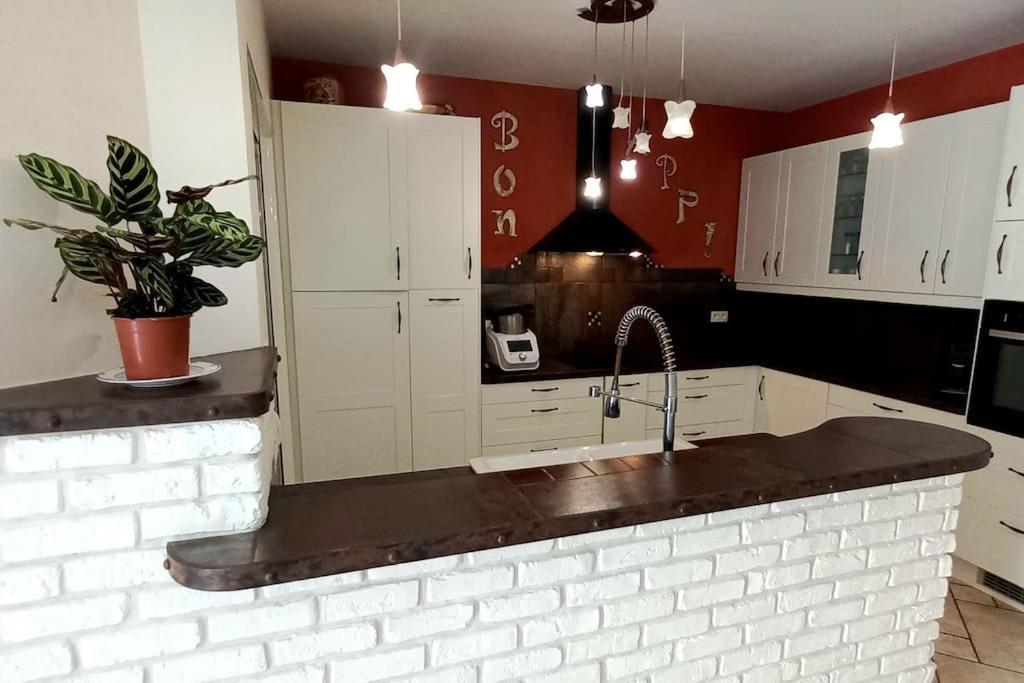Villa 140 M² Hab. Avec Piscine Castres  Buitenkant foto